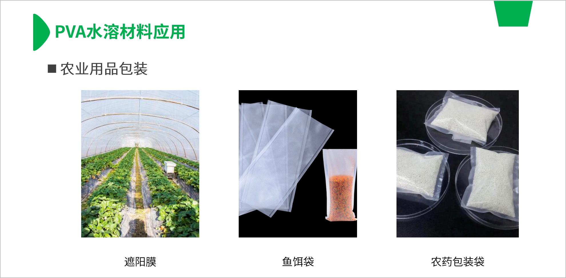 圖片4.png 圖片4.png