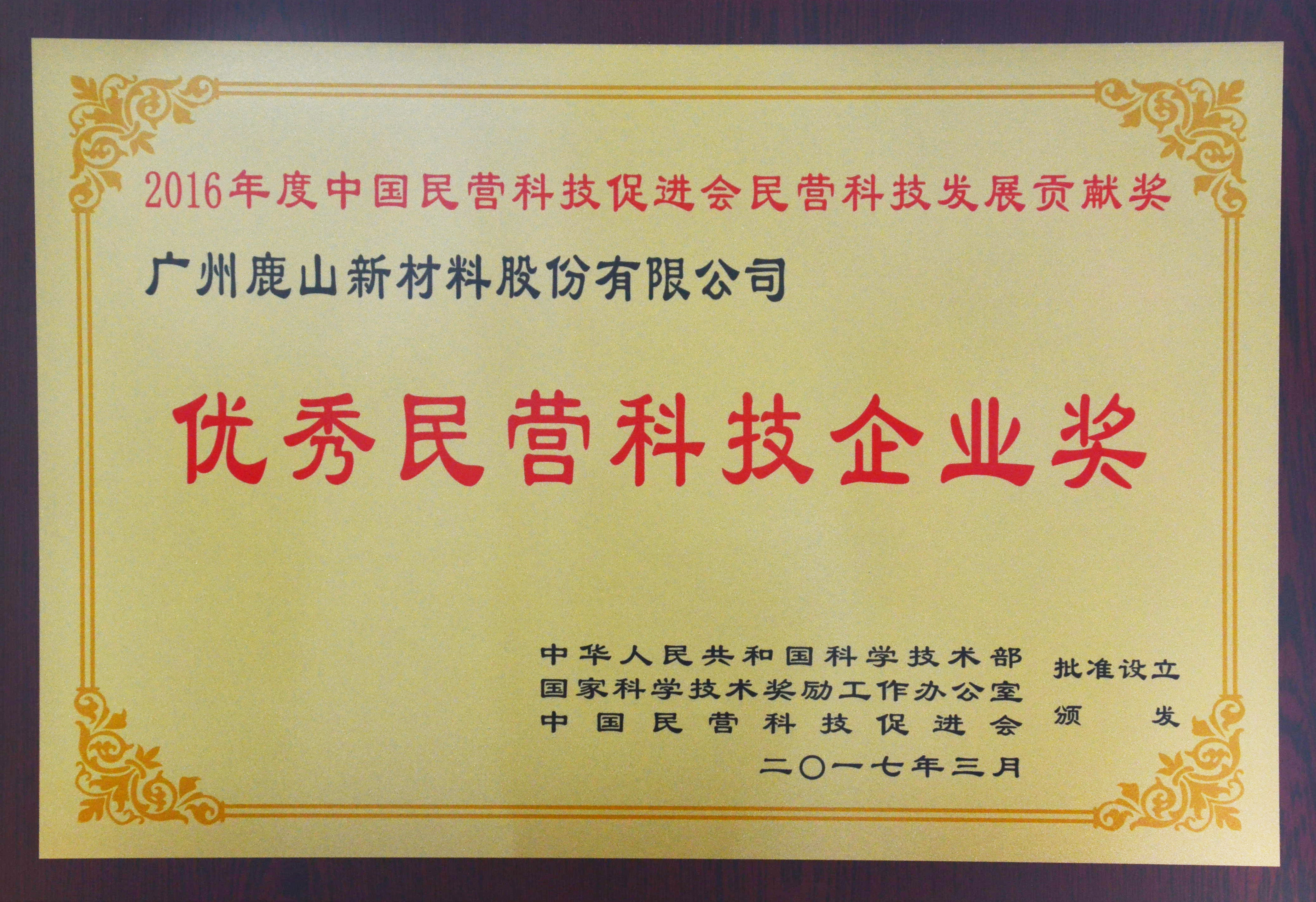 中國優(yōu)秀民營科技企業(yè)